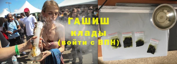 шишки Богородицк