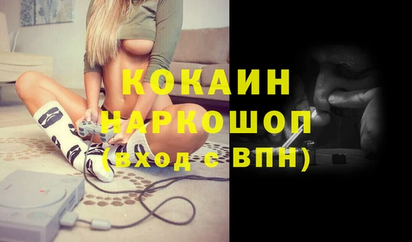 шишки Богородицк