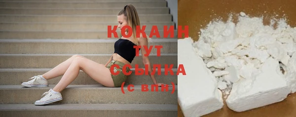 шишки Богородицк