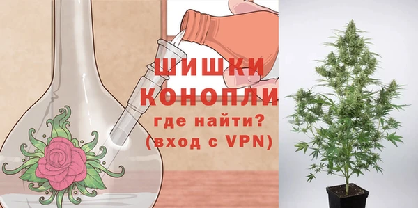 мяу мяу мука Богданович