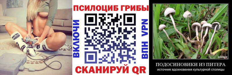 Галлюциногенные грибы Psilocybe  Клинцы 